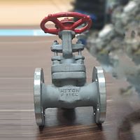 شیر کشویی 150 استیل NITON 316